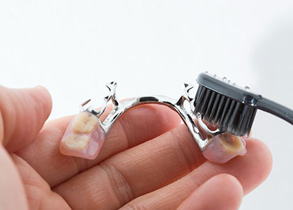 a pair of partial dentures cleaning with a brush